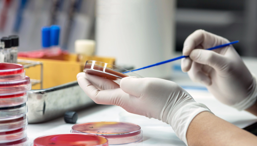 Individual Specialty