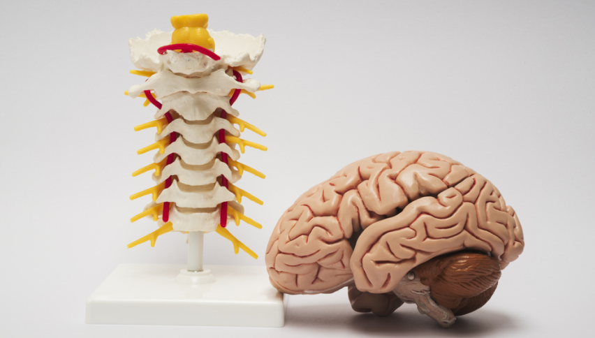 Individual Specialty